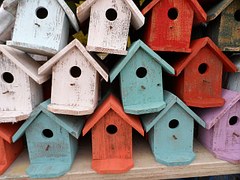 bird-house-72332__180[1]